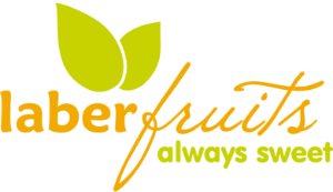 logo-laberfruits